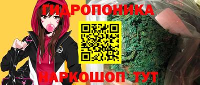 скорость Заволжье