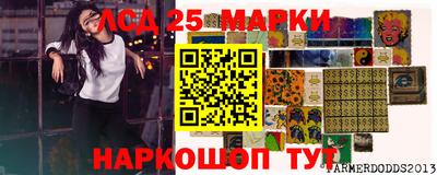 скорость Заволжье