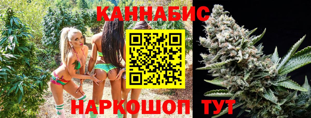 Бошки Шишки SATIVA & INDICA  Шишки марихуана гибрид  Конопля AK-47  Кушва  Вход с VPN 